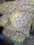 Продавам картофи Сорая , снимка 1