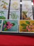 Пощенски марки чиста комплектна серия Растения, Цветя стари редки за колекция декорация - 22048, снимка 6