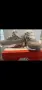 Детски маратонки Nike, снимка 2