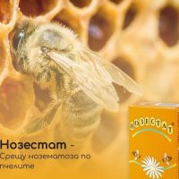 Нозестат разтвор за лечение и профилактика на нозематоза при пчелите, снимка 2 - Други стоки за животни - 25161519
