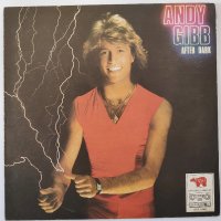 Andy Gibb ‎– After Dark - Pop, Discо, снимка 1 - Грамофонни плочи - 30592318