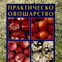 Практическо овощарство, снимка 1 - Специализирана литература - 31657702