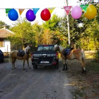 Пансион за коне/Horse boarding house, снимка 12 - Ветеринари и услуги - 19585221