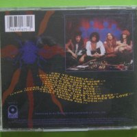 Глем Flies On Fire - Outside Looking Inside CD, снимка 3 - CD дискове - 31805726