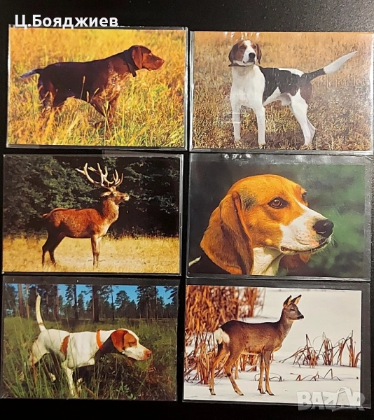 17 бр. Стари календарчета  - Животни , снимка 1