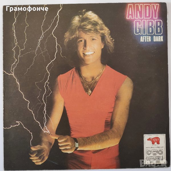 Andy Gibb ‎– After Dark - Pop, Discо, снимка 1