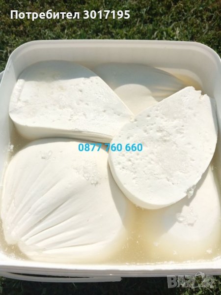 ДОМАШНО КОЗЕ сирене, снимка 1