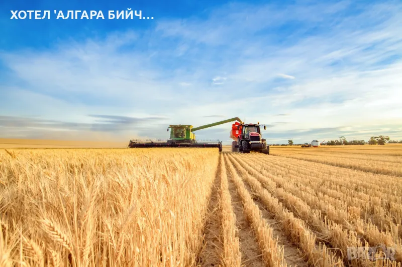 Продавам 32.240 дка земеделска земя втора категория в с.Методиево, обл Добрич, снимка 1