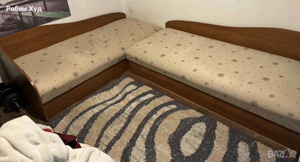 ПОДАРЯВАМ две ЛЕГЛА за град Пловдив, снимка 1