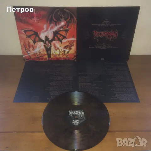Блек, дет, дуум и траш метъл плочи, снимка 9 - Грамофонни плочи - 49846878