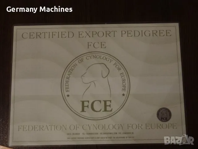 продавам РОДОСЛОВИЕ, Медали, Купи за различни породи кучета.. Вече не развъждам кучета и родословият, снимка 4 - Други - 48669126