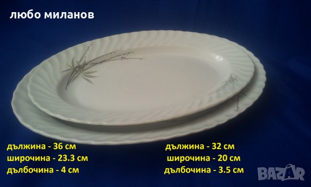 Две порцеланови чинии, елипси, голяма и по-голяма, салатни, ордьоври, снимка 4 - Чинии - 38966068