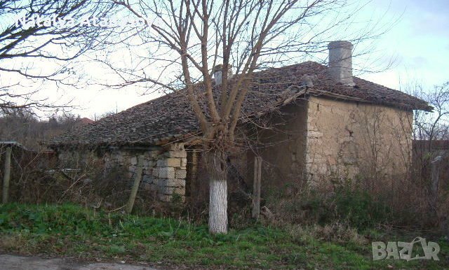 Селска къща Златия, снимка 3 - Къщи - 39719869