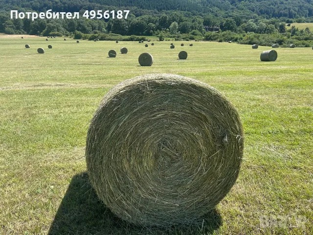 Ливадно сено - Бали 120х120см, снимка 2 - За селскостопански - 56171048