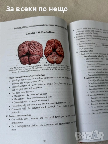 Clinical Neuroanatomy , Борислав Китов, снимка 5 - Специализирана литература - 54298432