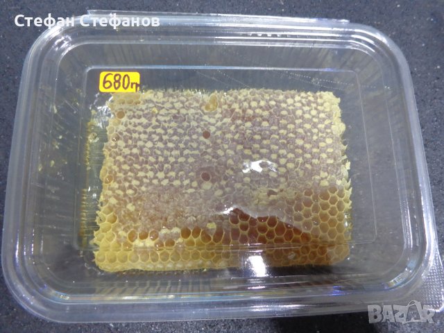 Пчелен мед във восъчна пита, снимка 8 - Пчелни продукти - 38495832