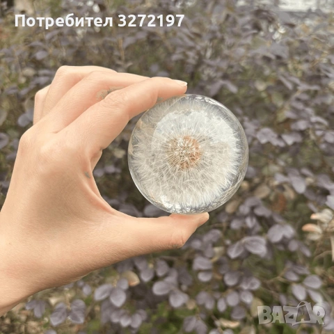 FUFIZU Кристална топка-глухарче, снимка 6 - Декорация за дома - 54090656