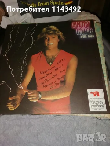 Грамофонни плочи, снимка 14 - Грамофонни плочи - 48358484