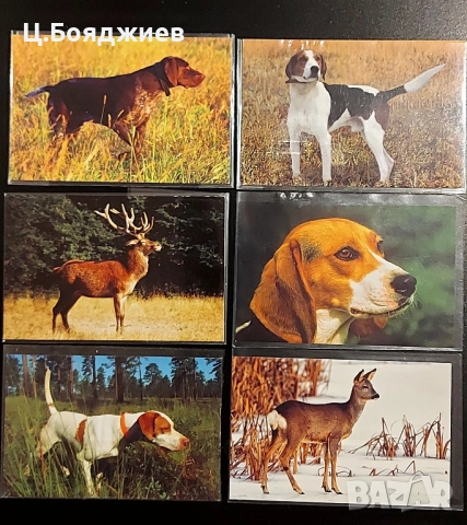 17 бр. Стари календарчета  - Животни 