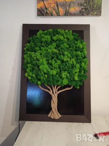 Картина от Скандинавски мъх , снимка 9 - Декорация за дома - 48915651