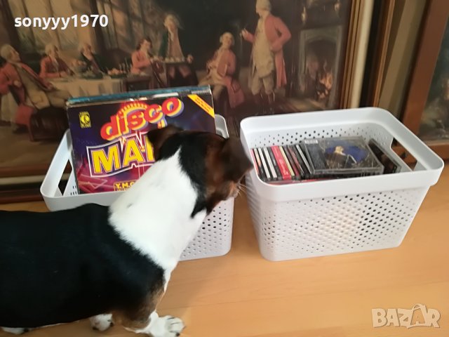кутия за плочи дискове касети 36х26х22см 2610221329, снимка 9 - Грамофонни плочи - 38458806