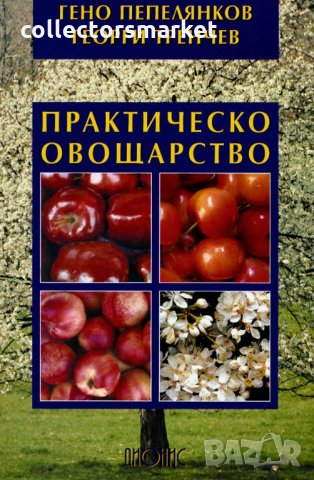 Практическо овощарство, снимка 1 - Специализирана литература - 31657702