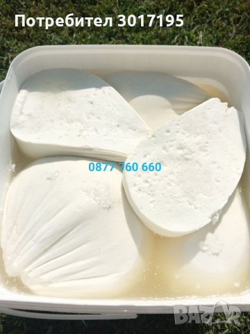 ДОМАШНО КОЗЕ сирене