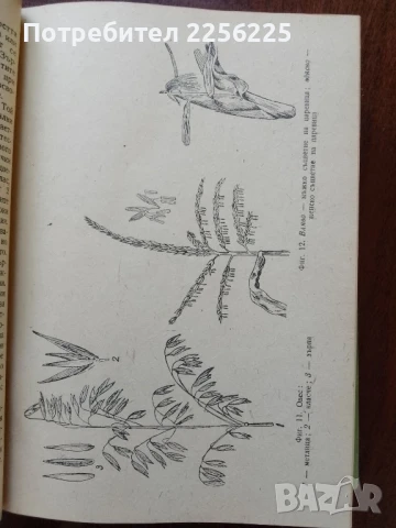 Растениевъдство, снимка 5 - Специализирана литература - 50959701