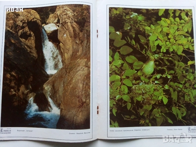 Списание Защита на природата 1986г. брой 2, снимка 4 - Списания и комикси - 54173792