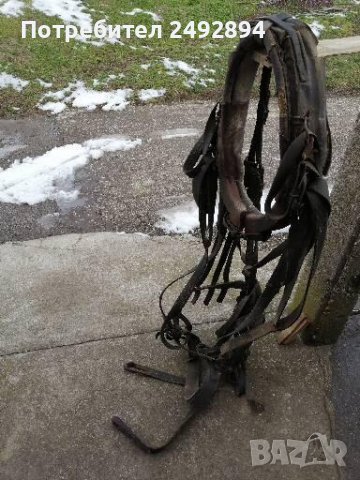 Конски хамут , снимка 3 - Други животни - 37651566