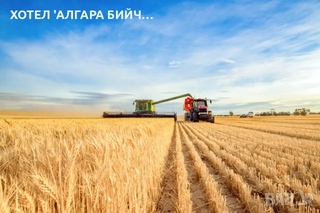 Продавам 32.240 дка земеделска земя втора категория в с.Методиево, обл Добрич, снимка 1