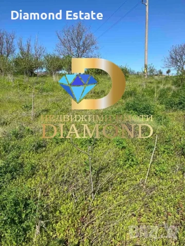 Парцел в село Стамболийски, обл. Хасково, снимка 9 - Парцели - 51218536