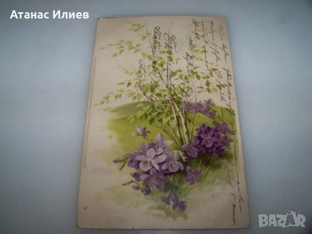 Красива австрийска пощенска картичка цветя,  1903г., снимка 4 - Филателия - 49600653
