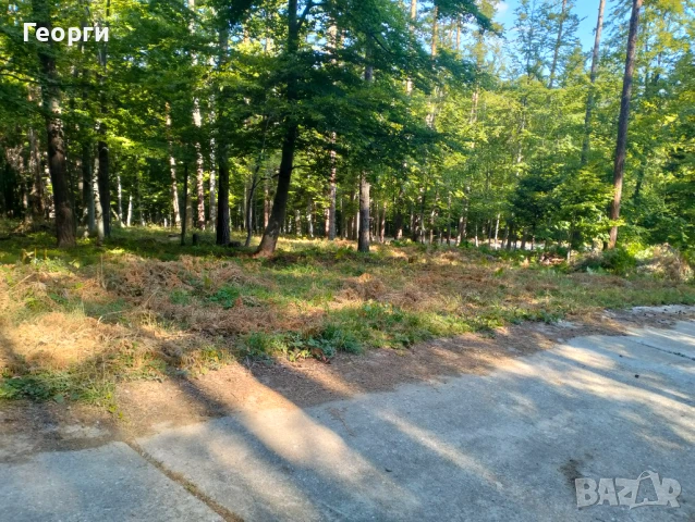 Имот хижа Здравец, снимка 3 - Земеделска земя - 50966083