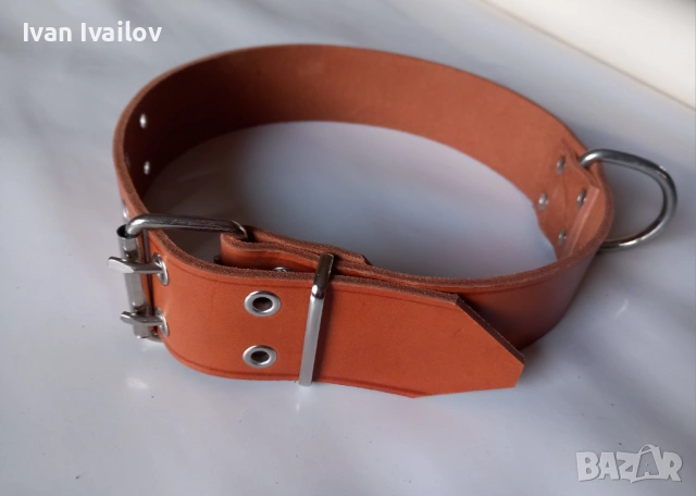 Масивен нашийник от плътен бланк с двойна катарама – 5 см широк / 80 см, снимка 3 - За кучета - 54138289