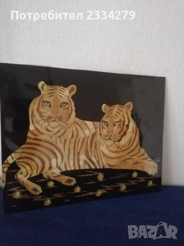 Две картини ръчно изработени. , снимка 6 - Картини - 52976418