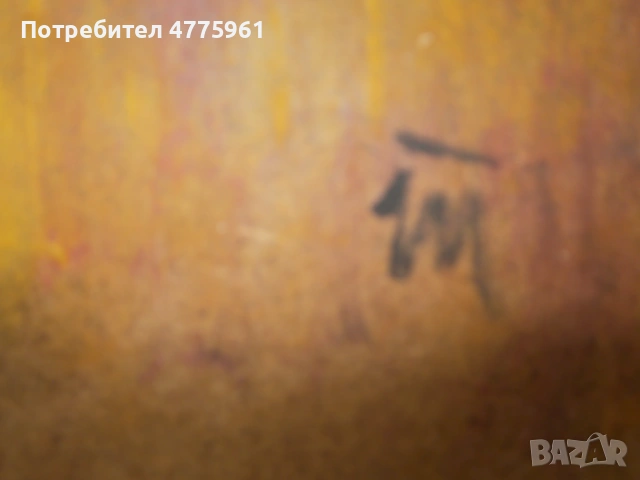 Портрет м.б. фазер Т.Т., снимка 3 - Картини - 54219349