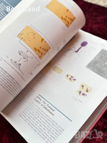 The nature of life, снимка 15 - Художествена литература - 53948126