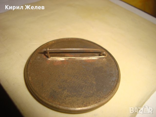 СТАРА РИСУВАНА ЕМАЙЛИРАНА РЯДКА БРОШКА АРТ-ЗНАЧКА ПТИЧКИ 24446, снимка 11 - Антикварни и старинни предмети - 33962662