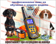 Електронен нашийник за кучета електронна каишка, снимка 6