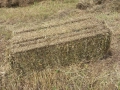 Продавам бали люцерна сено , снимка 2
