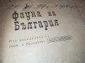 ФАУНА НА БЪЛГАРИЯ 0810241137, снимка 9
