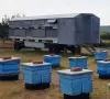 Фургон за подвижно пчеларство и цялостно оборудване, снимка 3