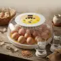 Автоматичен инкубатор за 18 яйца, снимка 1