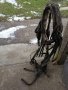 Конски хамут , снимка 3