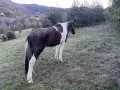Продавам кубила, снимка 4