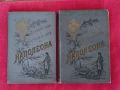 Две антикварни книги Политическия и военния живот на Напалеон., снимка 1