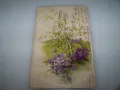 Красива австрийска пощенска картичка цветя,  1903г., снимка 4