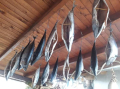 Деликатеси от Черноморието: мариновани риби - Веяна - прясна. , снимка 2