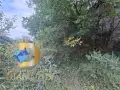Парцел със стара къща в Димитровград, кв. Черноконево, снимка 9